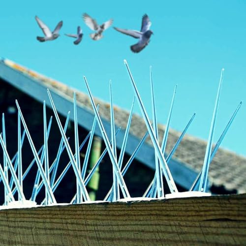 Bird spikes on building